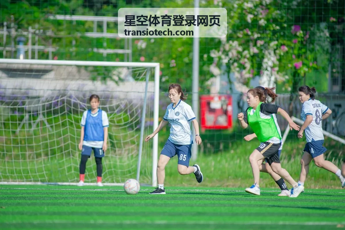星空体育登录网页功能亮点说明配图