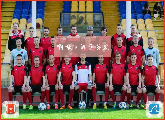 世界杯足球怎么买比分：投注技巧与观赛解析