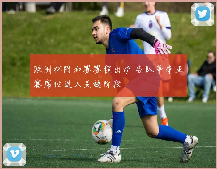欧洲杯附加赛赛程出炉 各队争夺正赛席位进入关键阶段