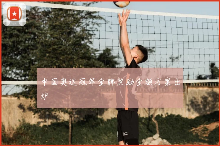 中国奥运冠军金牌奖励金额方案出炉